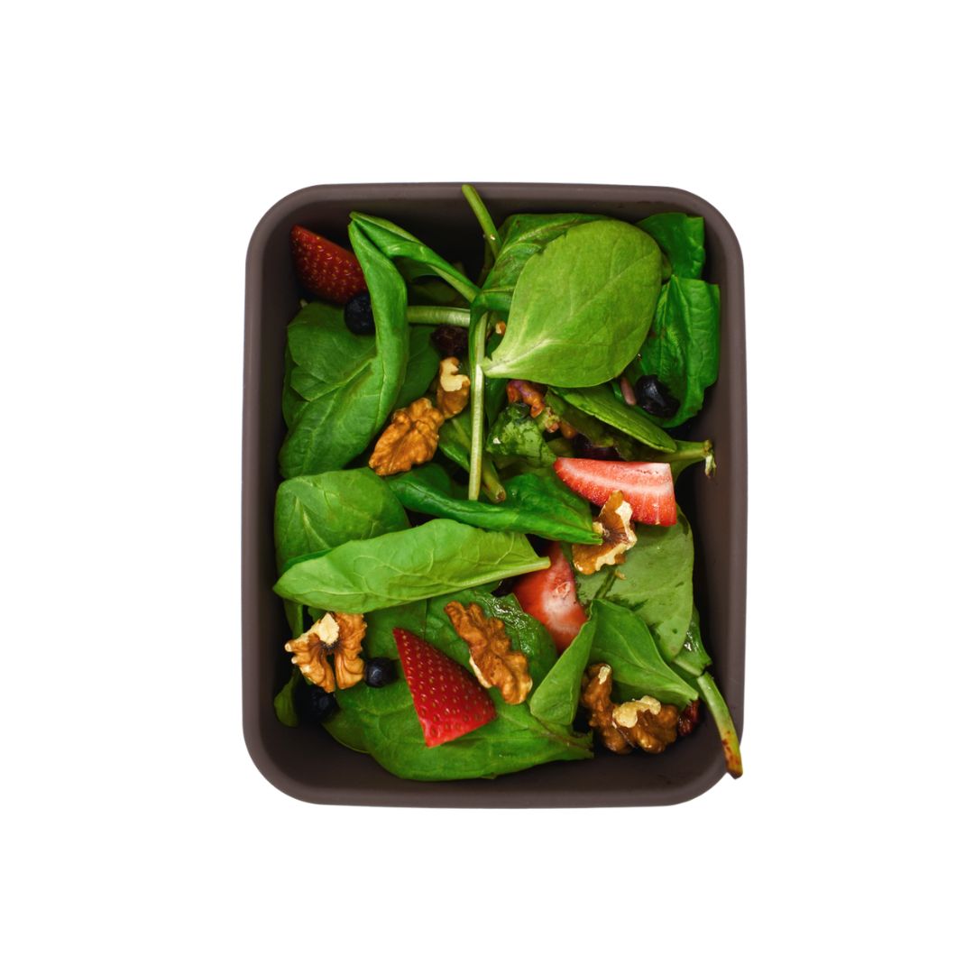 Rectangular Silicone Container Set - Medium &amp; Large