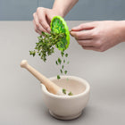 Perfect Herb Stripper Circle (Full Box – 1 x 12 pcs)